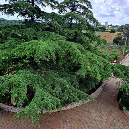 プティニャーノCasina Foggia Dell'Alberoアパートメント エクステリア 写真