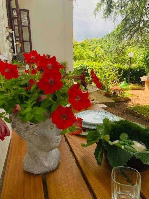 プティニャーノCasina Foggia Dell'Alberoアパートメント エクステリア 写真
