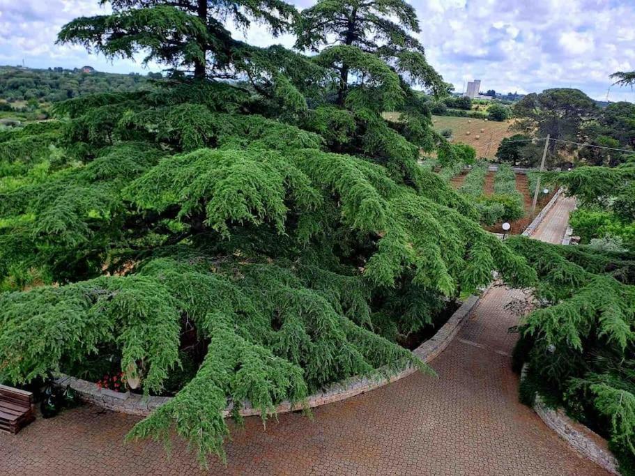 プティニャーノCasina Foggia Dell'Alberoアパートメント エクステリア 写真