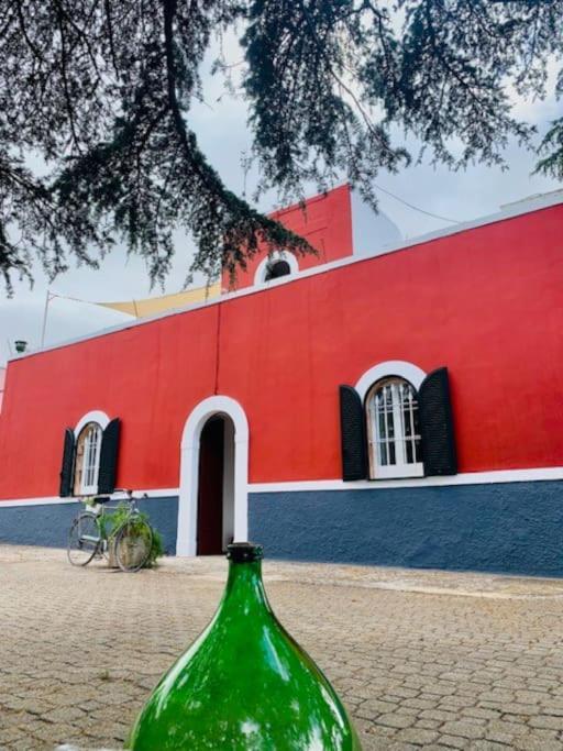 プティニャーノCasina Foggia Dell'Alberoアパートメント エクステリア 写真