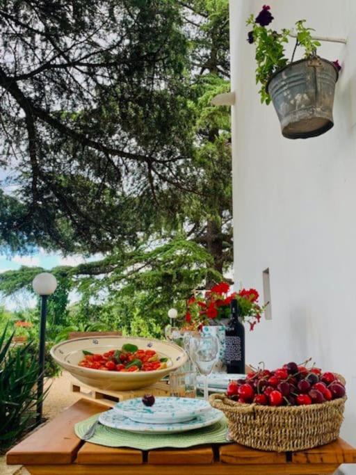 プティニャーノCasina Foggia Dell'Alberoアパートメント エクステリア 写真